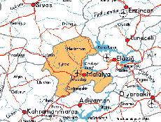 Malatya'nın başına 'japon kuşu' kondu