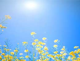 Yeni haftaya bahar müjdesi