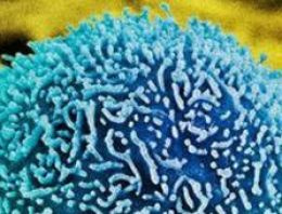 Kanser korkusu  'binlerce can alıyor'