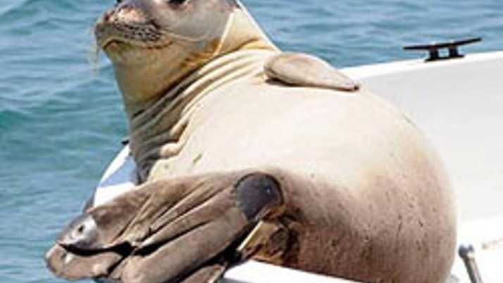 Badem'i bakın neden dövmüşler!