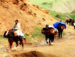 Örgüt kaçakçıyı haraca bağladı