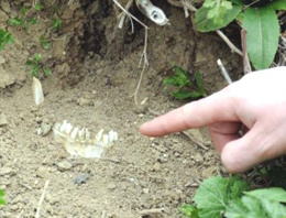 Çanakkale Şehitliği'nde yürek sızlatan görüntü