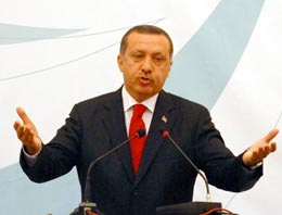 Bu kedi Erdoğan'ı yine çok kızdıracak!