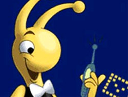 Bulgar devine Türk talip!